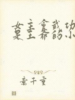 女主会武功男主是王爷的小说