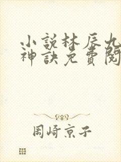 小说林辰九天斩神诀免费阅读