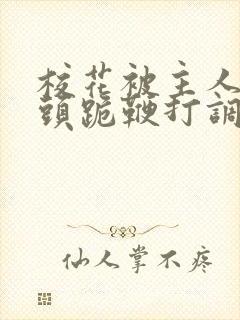 校花被主人拽奶头跪鞭打调教小说