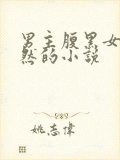 男主腹黑女主淡然的小说