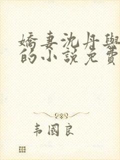 娇妻沈丹与陈婷的小说免费阅读最新