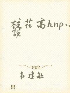 校花高hnp小说