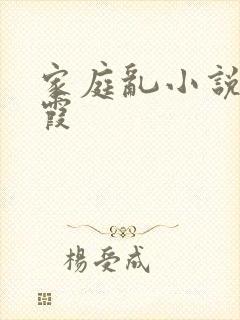 家庭乱小说王丽霞