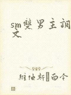 sm双男主调教文