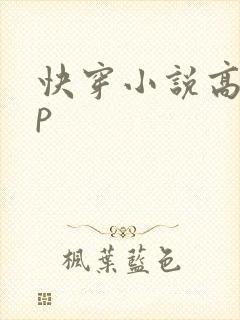 快穿小说高hnp封面