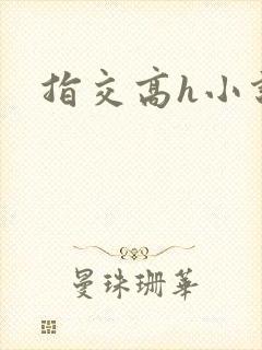 指交高h小说封面