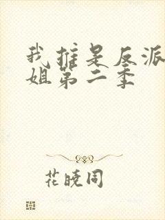 我推是反派大小姐第二季封面