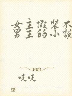 女主假装不认识男主的小说