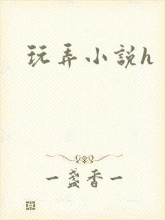 玩弄小说h封面