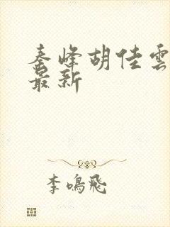 秦峰胡佳云正版最新