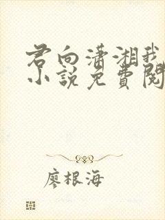 君向潇湘我向秦小说免费阅读