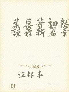 叶辰萧初然的小说最新篇章封面