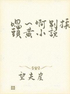 嗯～啊别揉我奶头黄小说封面