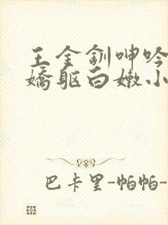 王金钏呻吟迎合娇躯白嫩小说封面