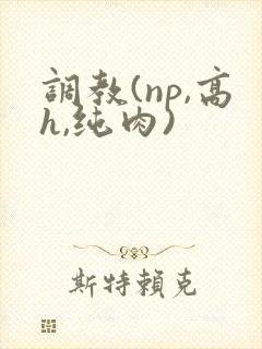 调教(np,高h,纯肉)