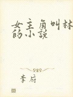 女主角叫林清雅的小说封面