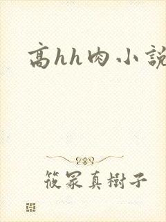 高hh肉小说