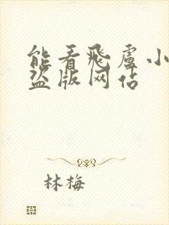 能看飞卢小说的盗版网站封面