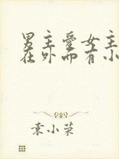 男主爱女主但是在外面有小三的小说