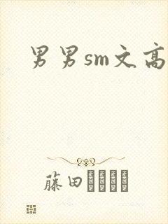 男男sm文高h