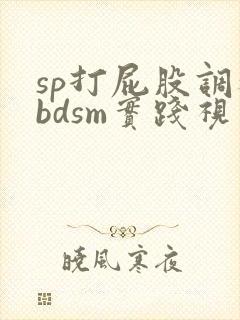sp打屁股调教bdsm实践视频