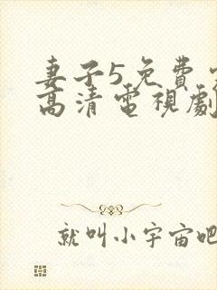 妻子5免费完整高清电视剧在线