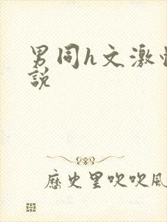 男同h文激情小说封面