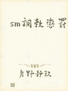 sm调教惩罚文