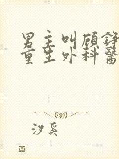 男主叫顾铮女主重生外科医生的小说