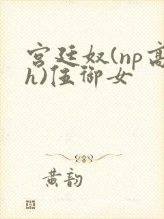 宫廷奴(np高h)伍御女