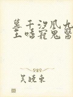 慕千汐凰九夜邪王嗜宠鬼医狂妃无弹窗