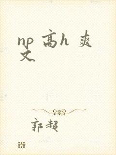 np 高h 爽文