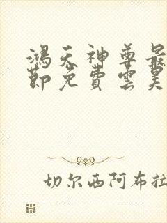 鸿天神尊最新章节免费云昊