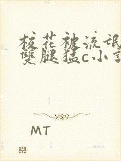 校花被流氓扒开双腿猛c小说封面