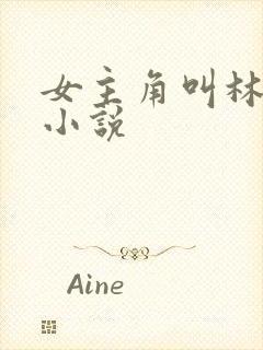 女主角叫林惜的小说