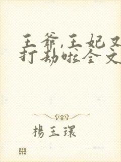 王爷,王妃又去打劫啦全文免费阅读