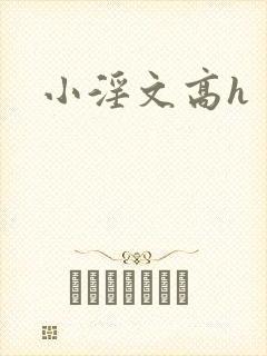 小淫文高h