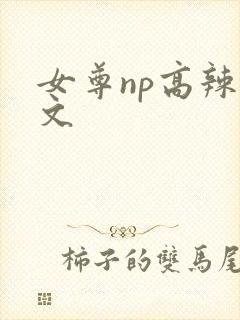 女尊np高辣h文