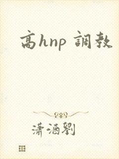 高hnp 调教