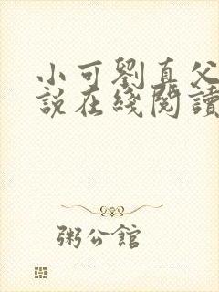 小可刘真父女小说在线阅读