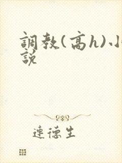 调教(高h)小说封面