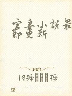 官妻小说最新章节更新