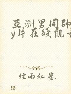 亚洲男同帅gay片在线观看