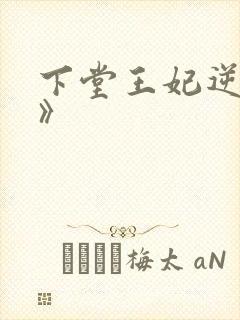 下堂王妃逆袭记》