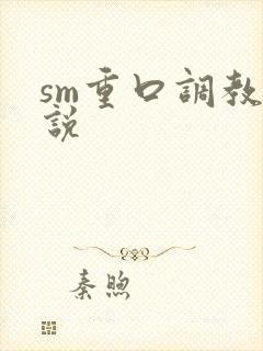 sm重口调教小说