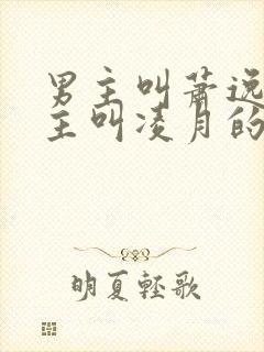 男主叫萧逸,女主叫凌月的小说封面