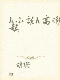 h小说h高潮迭起