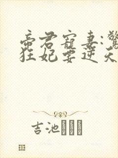 帝君宠妻:惊世狂妃要逆天