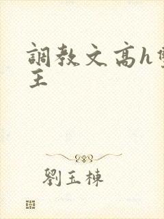 调教文高h双男主