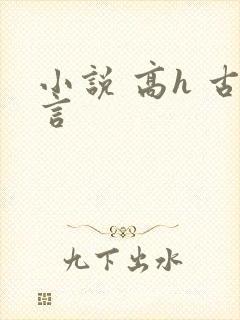 小说 高h 古言